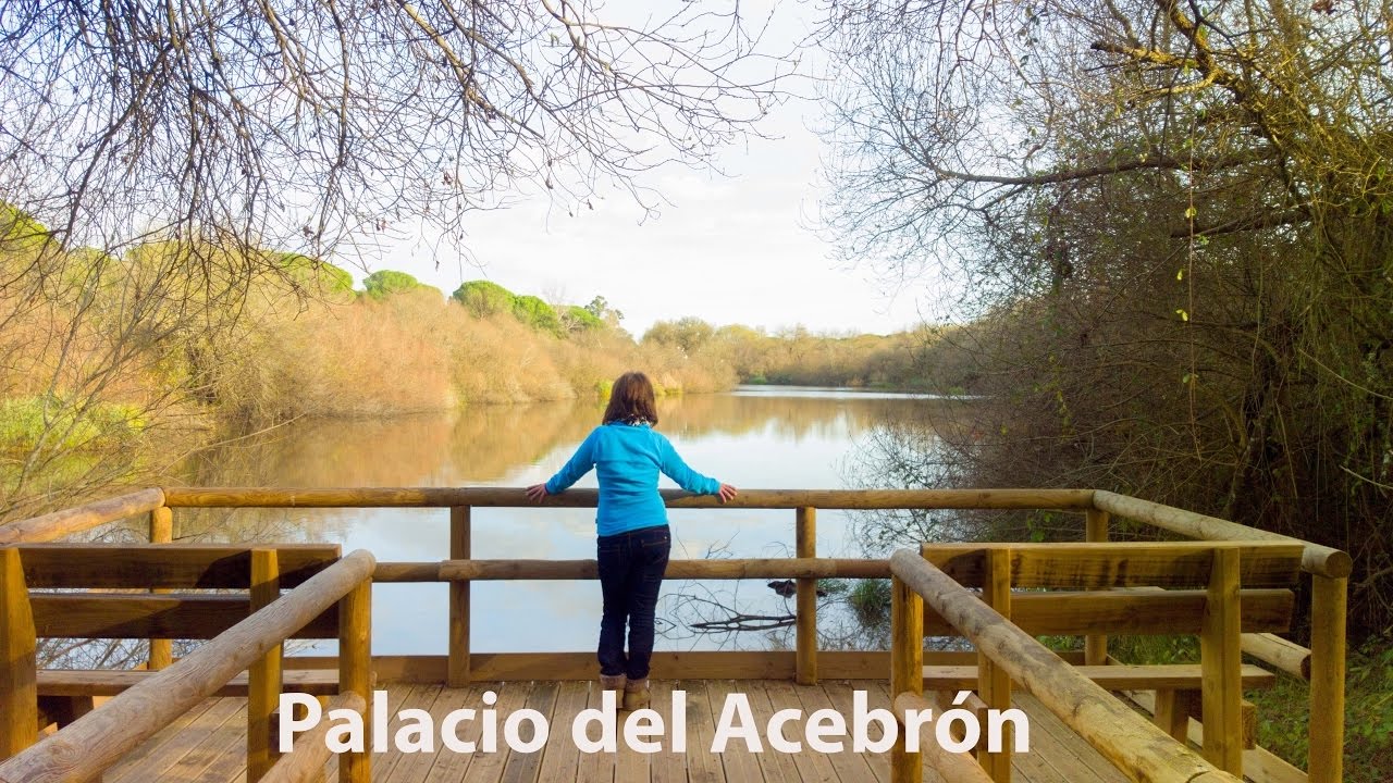 Paseo por el Palacio del Acebrón ( Doñana )