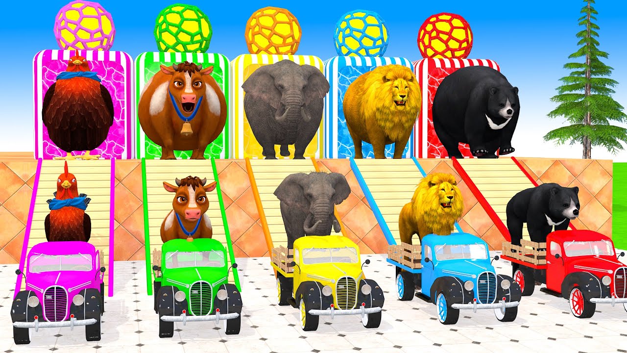 Long Slide Game With Cow Elephant Gorilla Hippopotamus Tiger - 3d Animal Game - Funny 3d Animals
