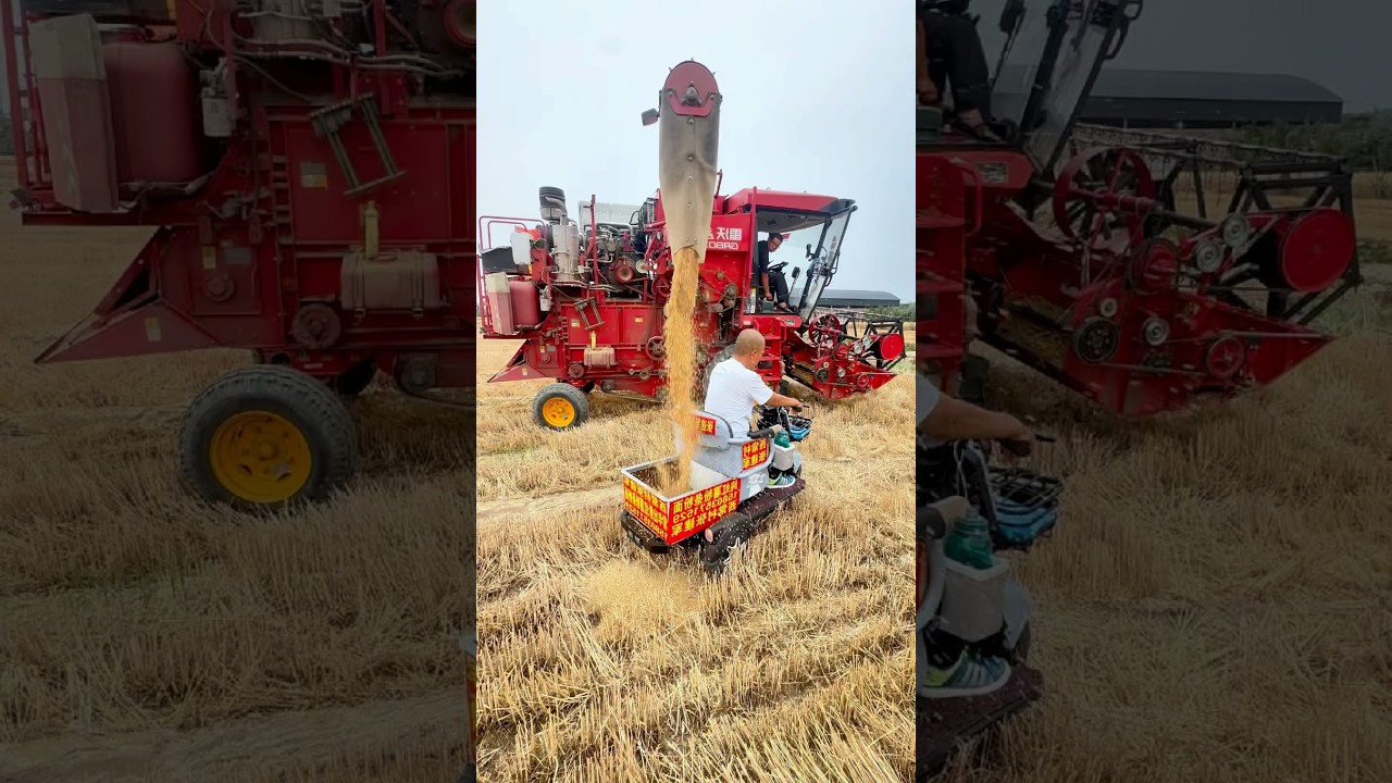 Mini Combine Harvester: Accurate Grain Drop, No Waste