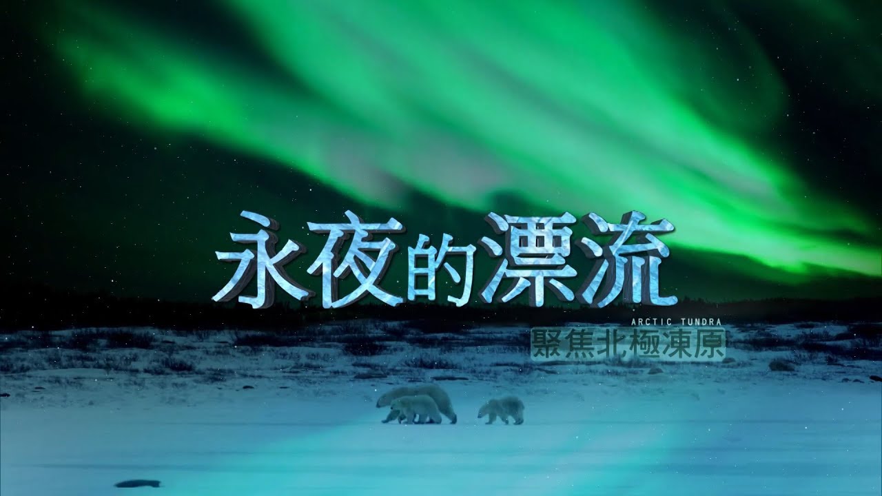 永夜的漂流 聚焦北極凍原 《聚焦全世界》Drifting Under Polar Night FOCUS on Arctic 第40期