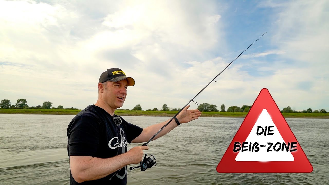 So angelst du IMMER in der BEIß-ZONE 💪 Diese MONTAGE macht es möglich | KICKBACK-RIG