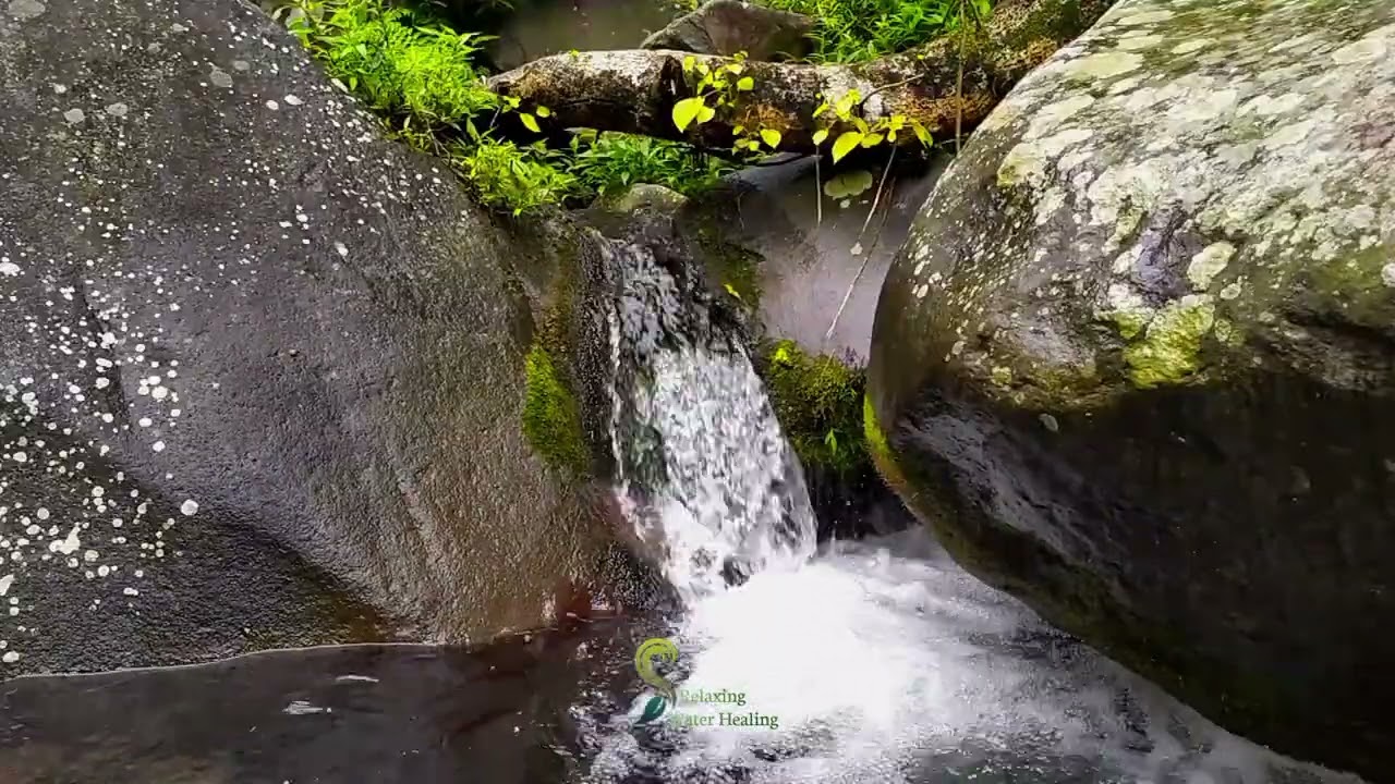 River Sound Therapy for Deep Sleep & Relaxation