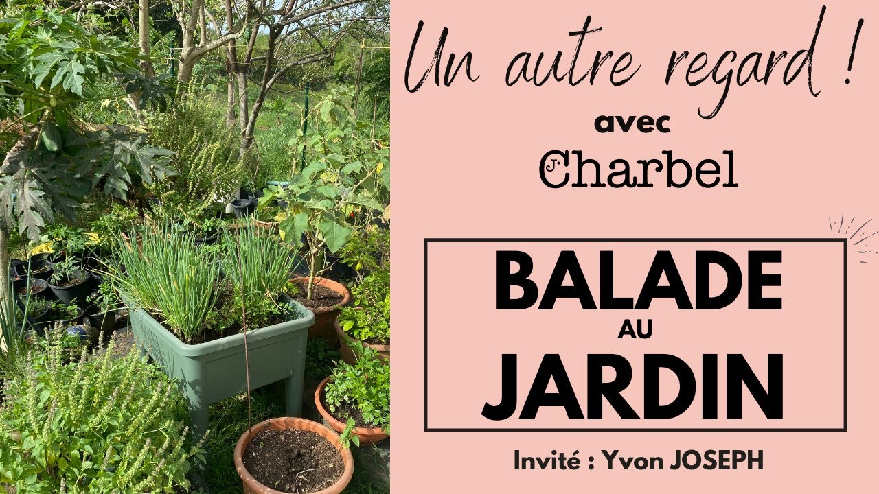 200 ARBRES FRUITIERS EN POTS