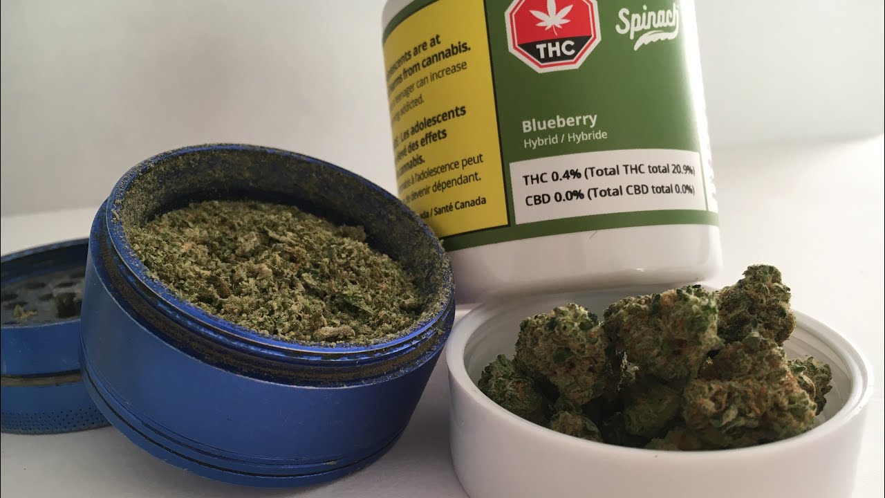 Weed Unboxing- Blueberry By Spinach