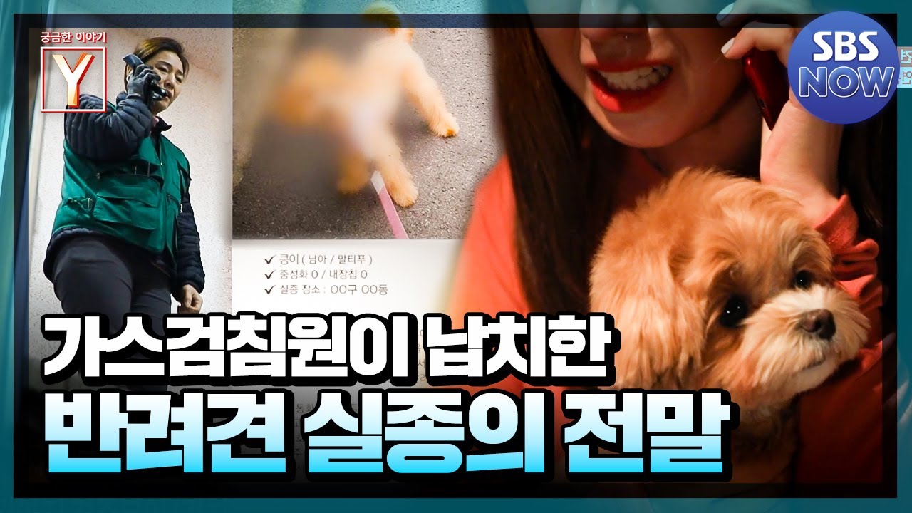 가스검침원 사칭 강아지 납치? 인터넷을 떠들썩하게 했던 반려견 실종 사건의 전말! #궁금한이야기Y #YStory | SBS NOW