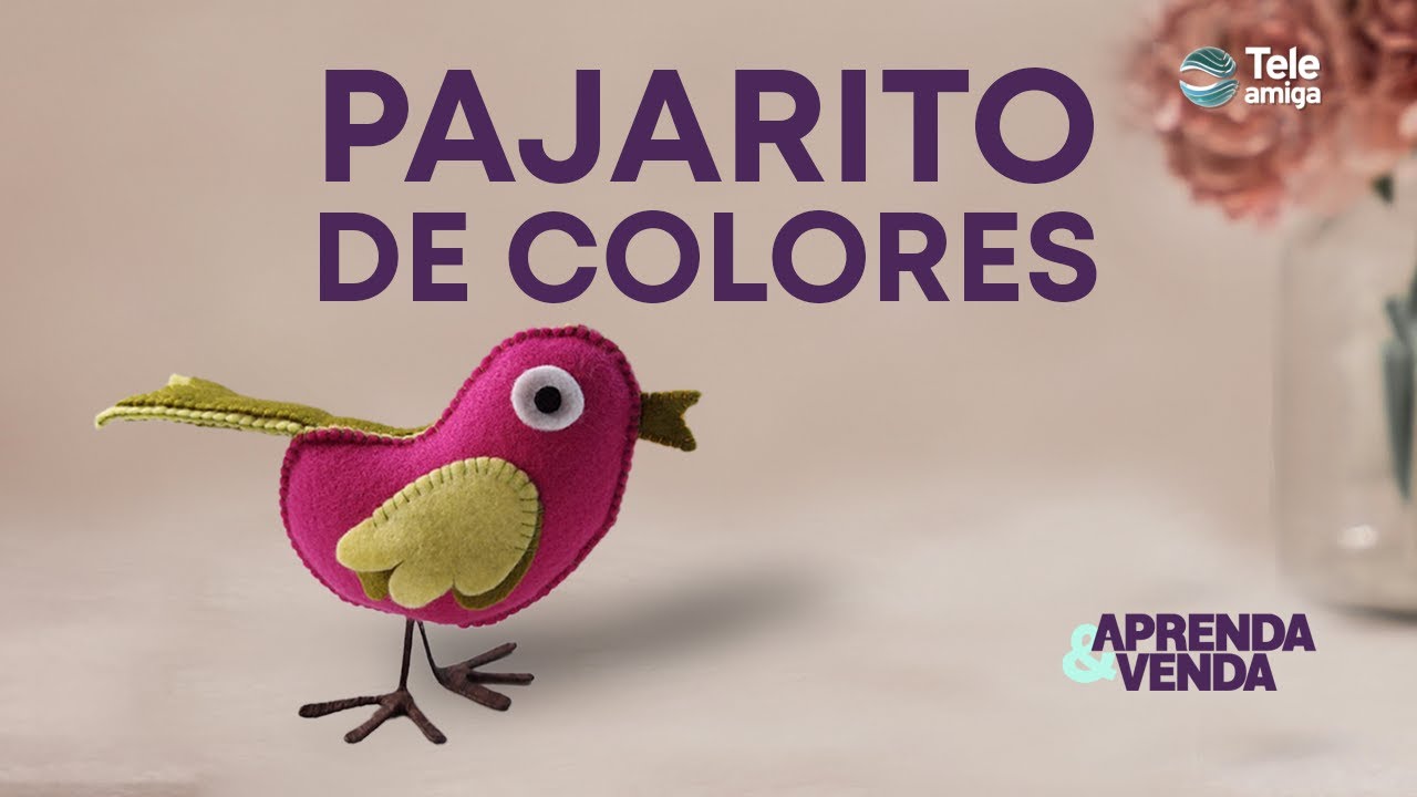 PAJARITO DE COLORES PA&Ntilde;O LENCY en Aprenda y Venda - Teleamiga