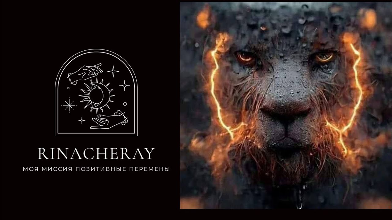 О чем меня хотят предупредить Высшие Силы🙏