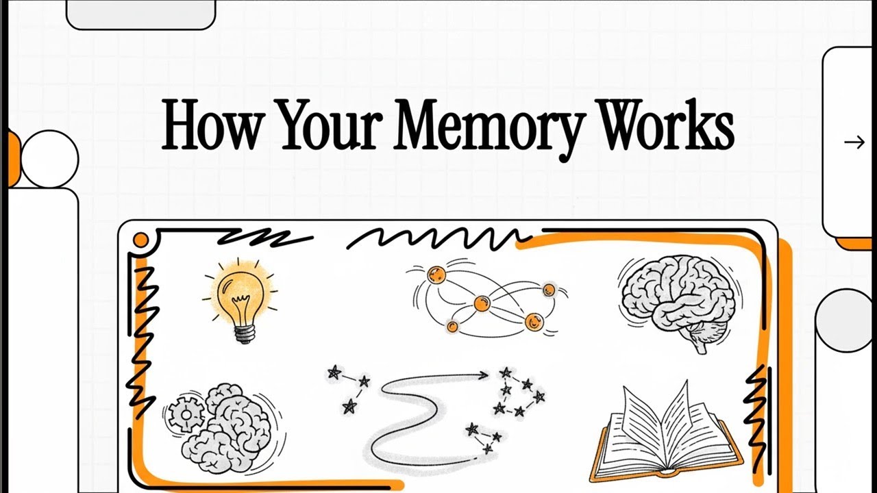 Memory: How Your Memory Works