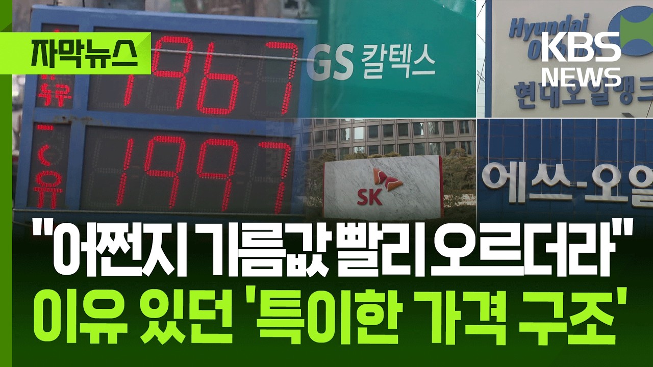 [자막뉴스] 