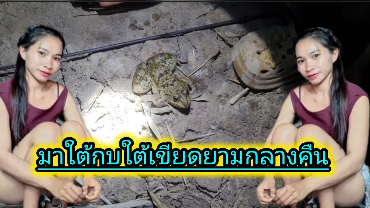 มา ใต้ กบ ใต้ เขียด ยาม กลาง คืน กลัวผีหลอก#ชนบทลาวใต้ #สาวลาวใต้ #ฝากติดตามด้วยนะคะ 