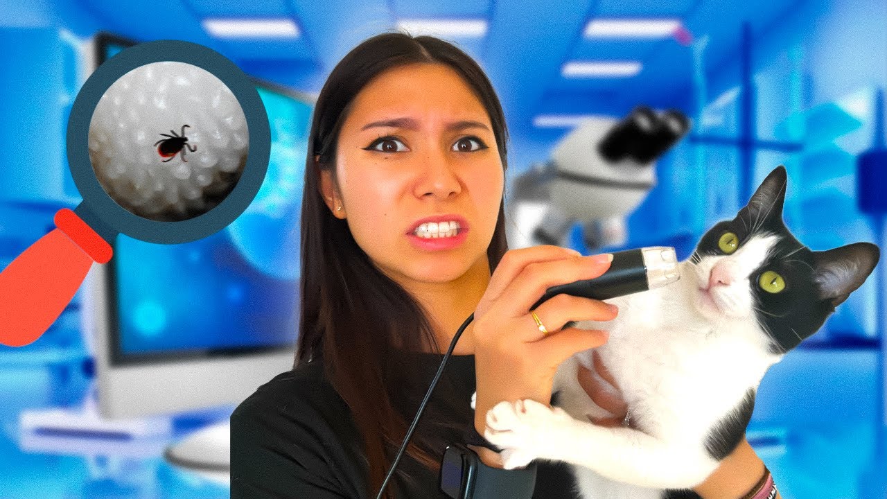 J'OBSERVE MON CHAT AU MICROSCOPE (ça fait peur)