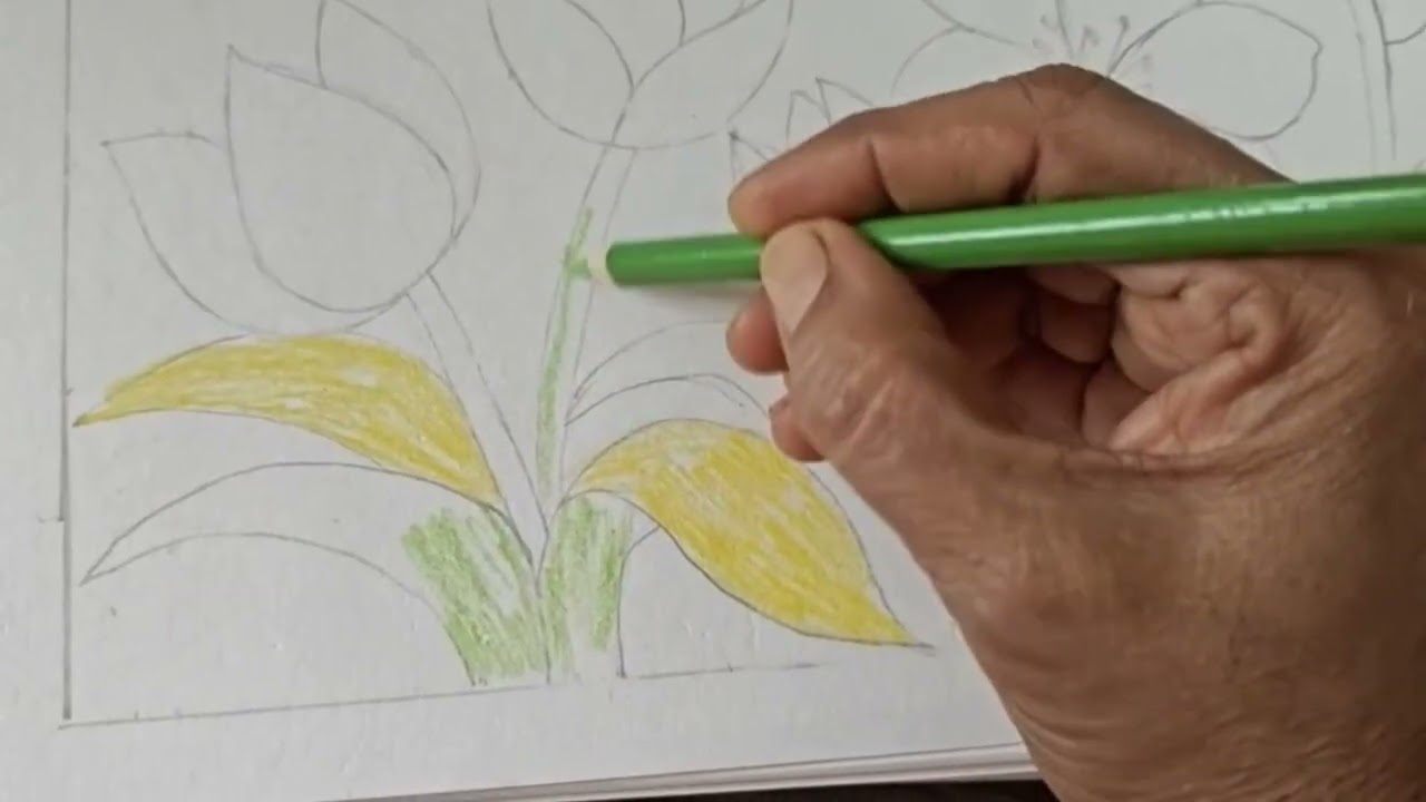 The harmony of wings and petals — drawn with precision and passion