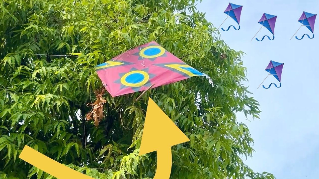 Big Kite Catching Outside From Tree With Key Patang Lutti trick