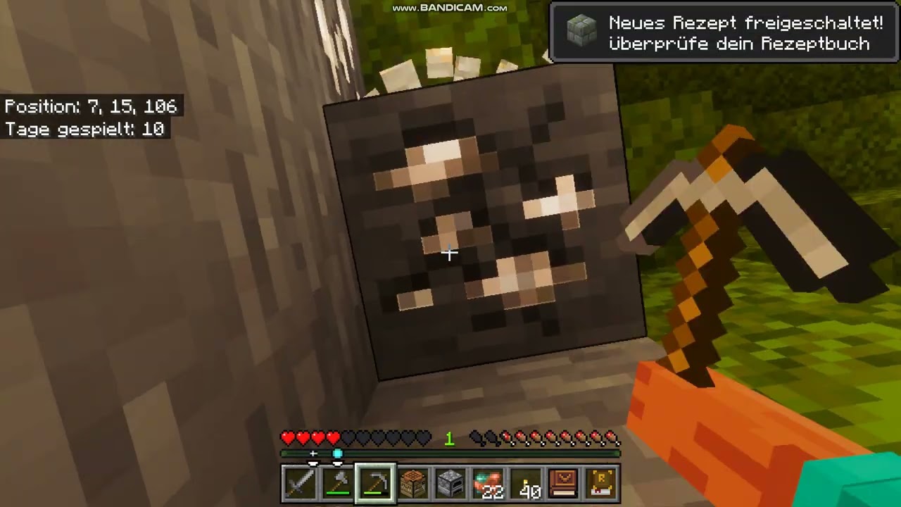 Minecraft aber Realistisch!