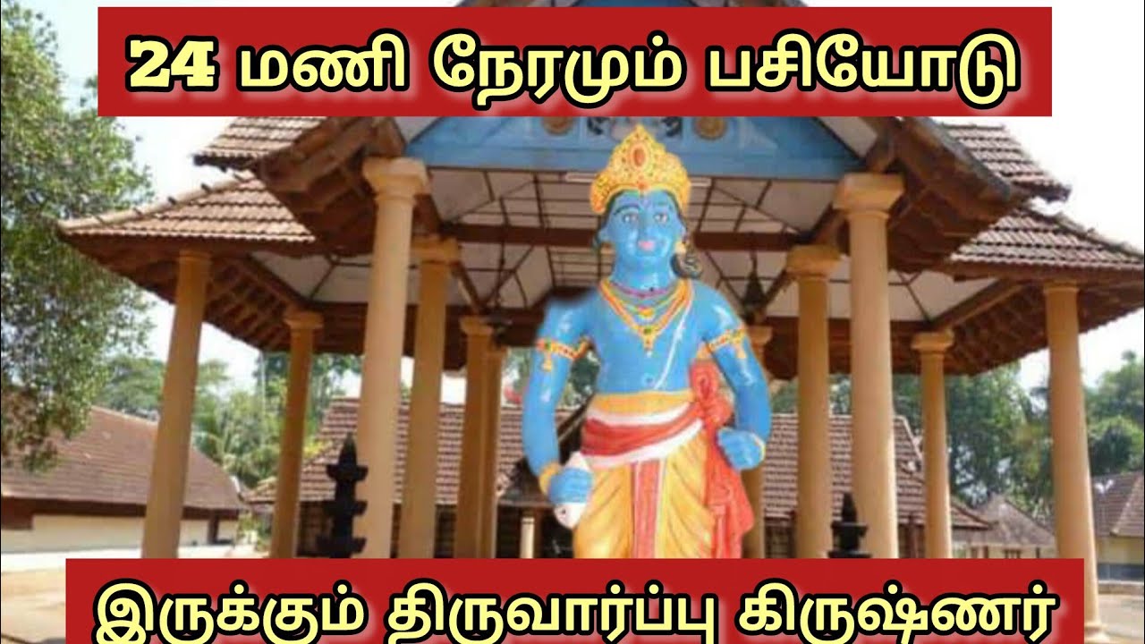 24 மணி நேரமும் பசியோடு இருக்கும் கேரளா  திருவார்ப்பு கிருஷ்ணரின் ரகசியம் @annai_abirami_astrology