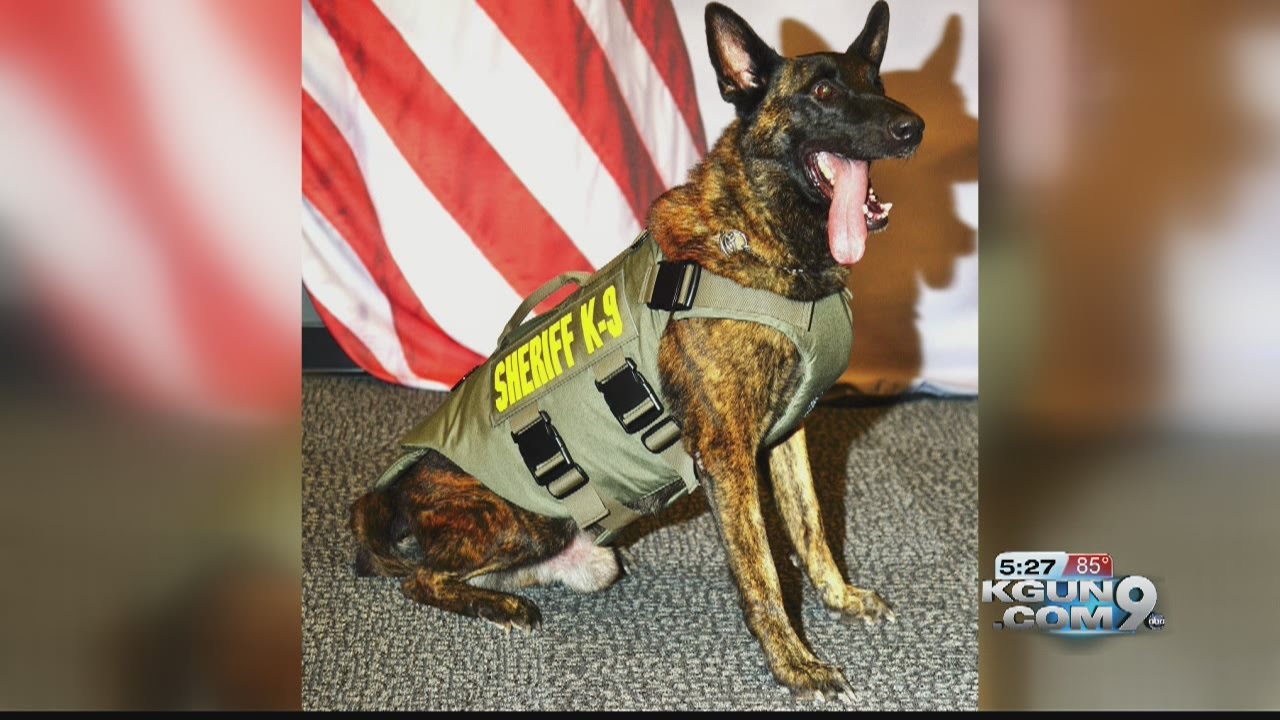 Sheriff's K9 receives body armor