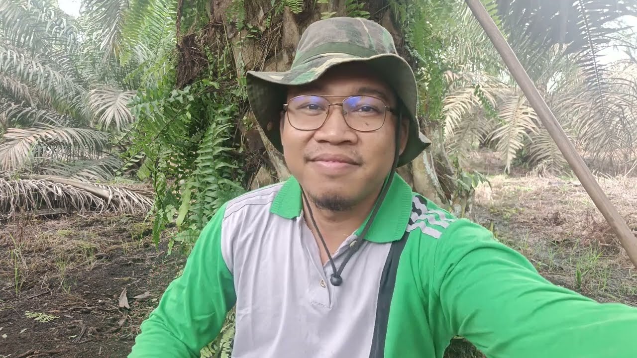 Kegiatan Dikebun.. PRUNING.. Perlukah Dilakukan?