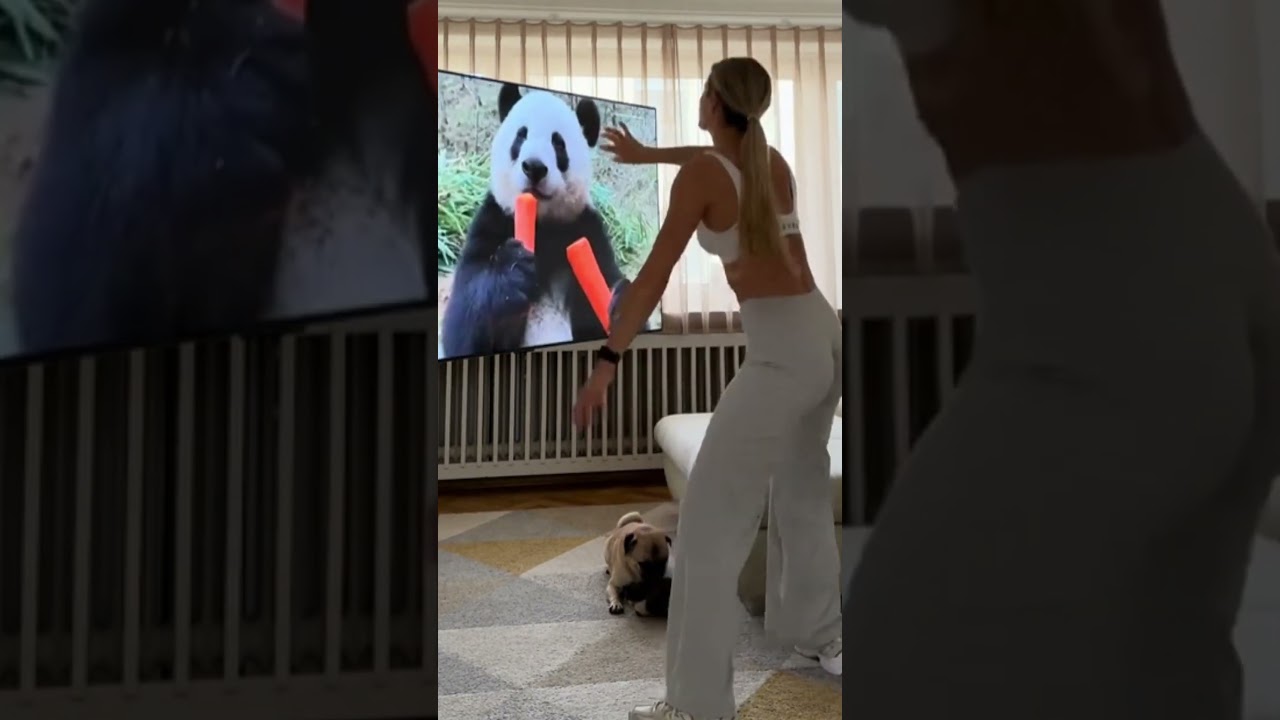 Aquecimento Imersivo Intetativo #imersivo #fy