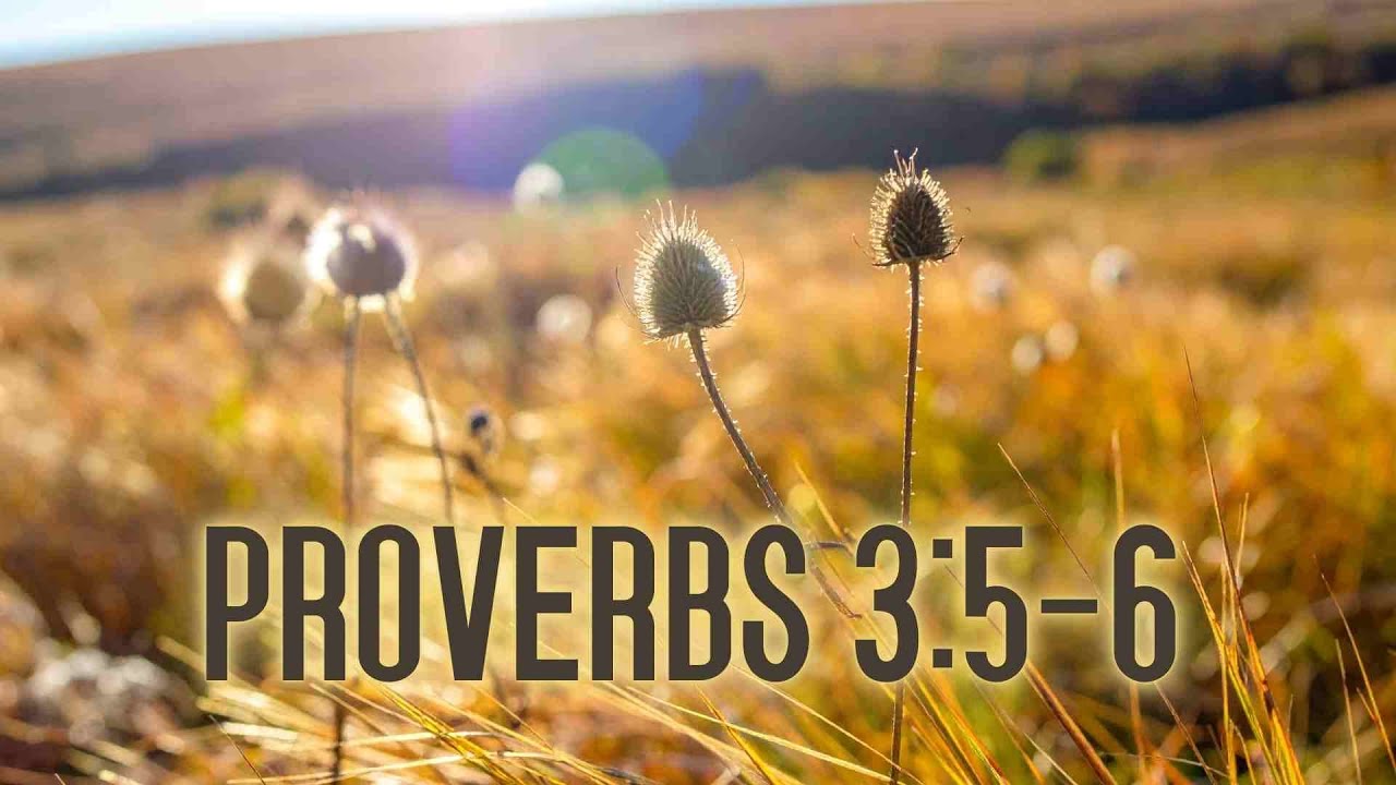 Proverbs 3:5–6 | Trust in the Lord | Peaceful Scripture Memorization