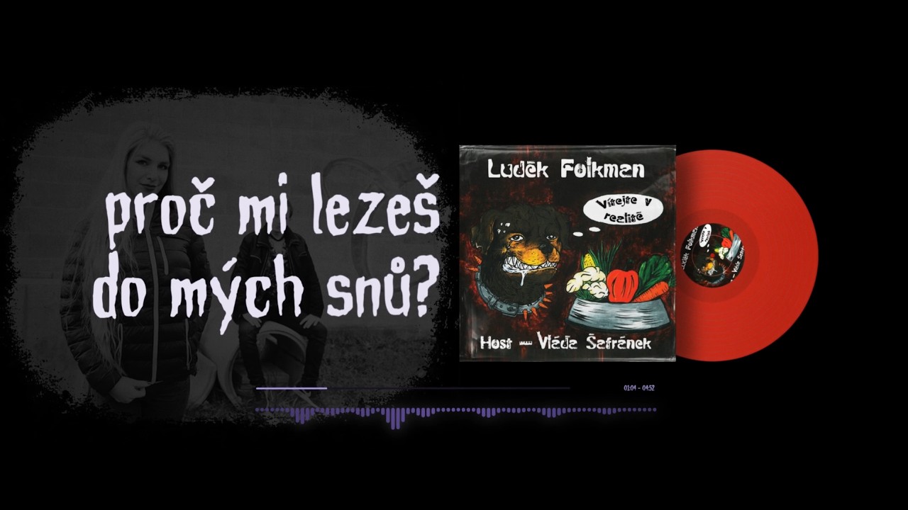 Luděk Folkman feat. Karolína Skuhrovcová - Proč mi lezeš do mých snů? (Lyric video)