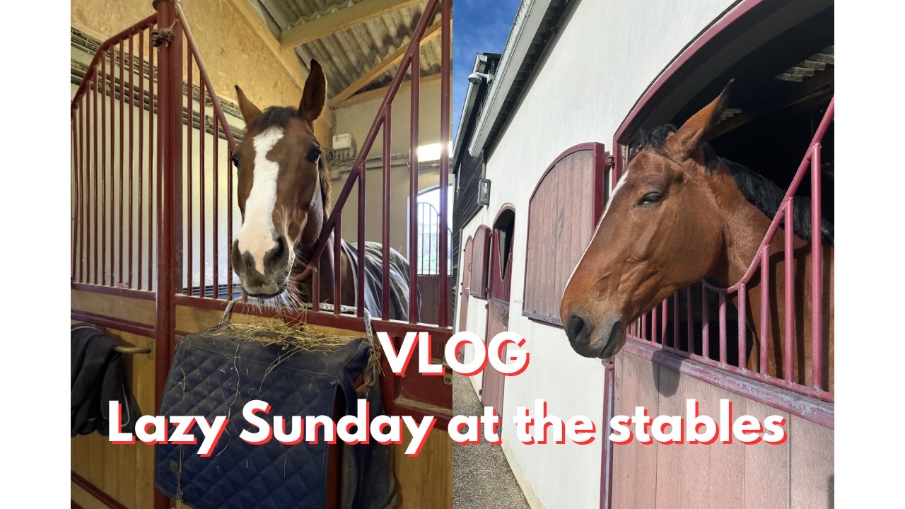 VLOG - Lazy sunday at the horses