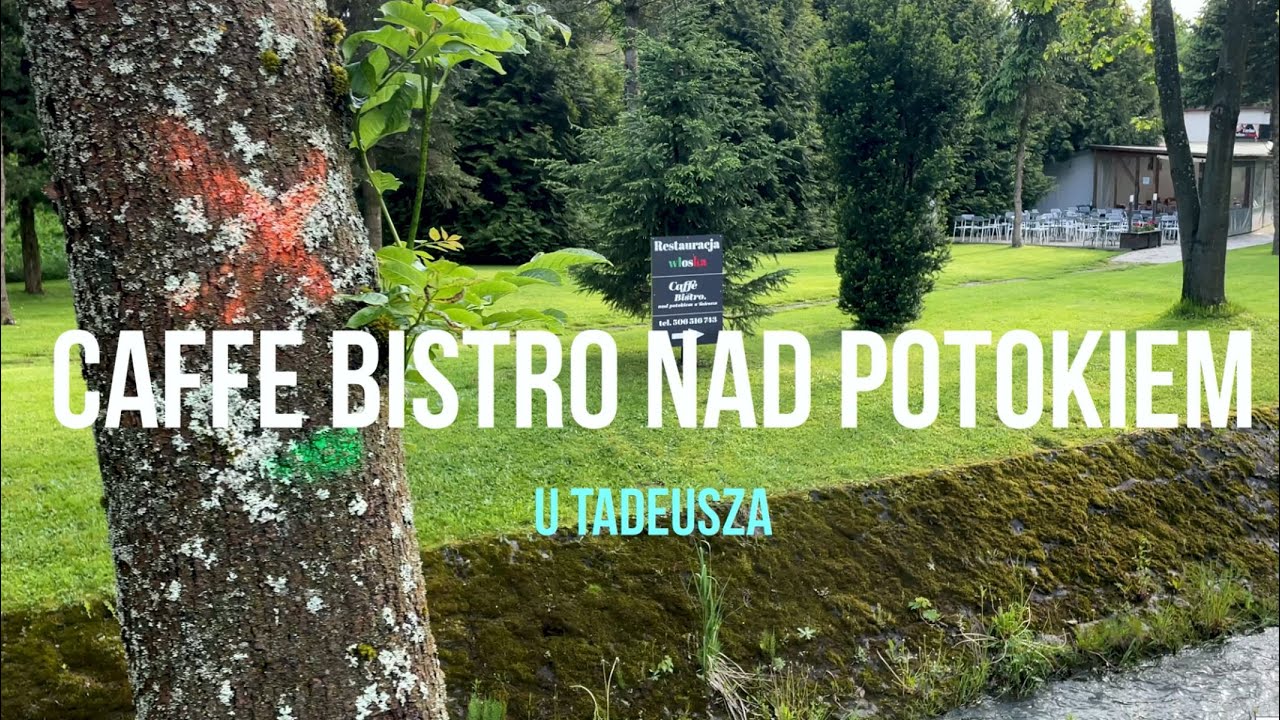 Caffe Bistro u Tadeusza w Wysowej Zdrój w Beskidzie Niskim