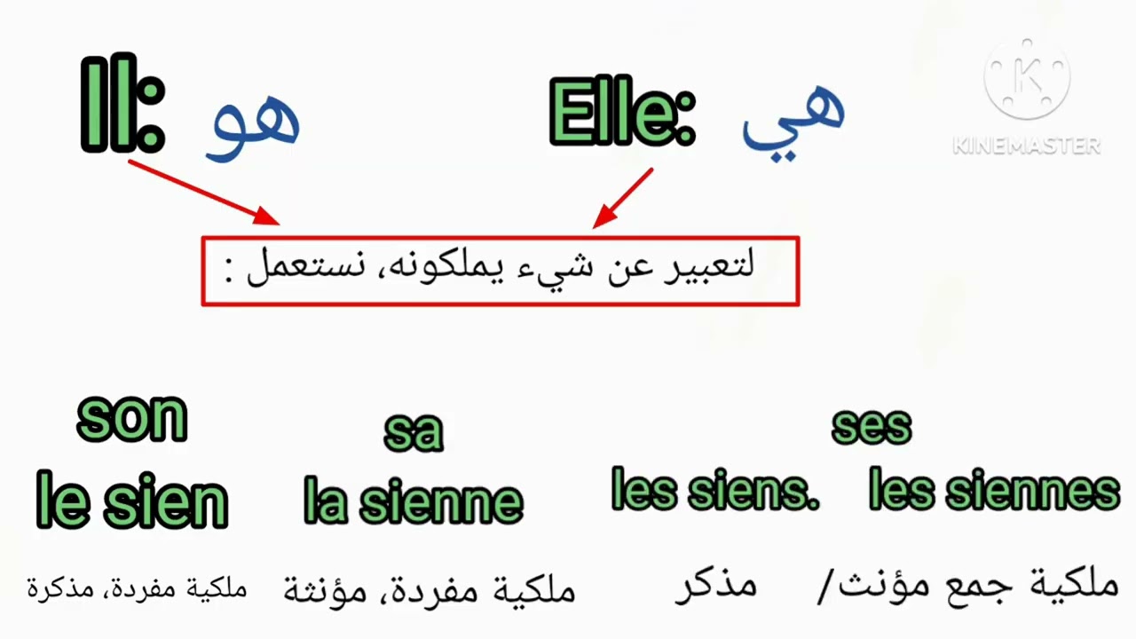 الجزء الثاني من درس ضمائر الملكية😇 تابع الفيديو للاخر📈