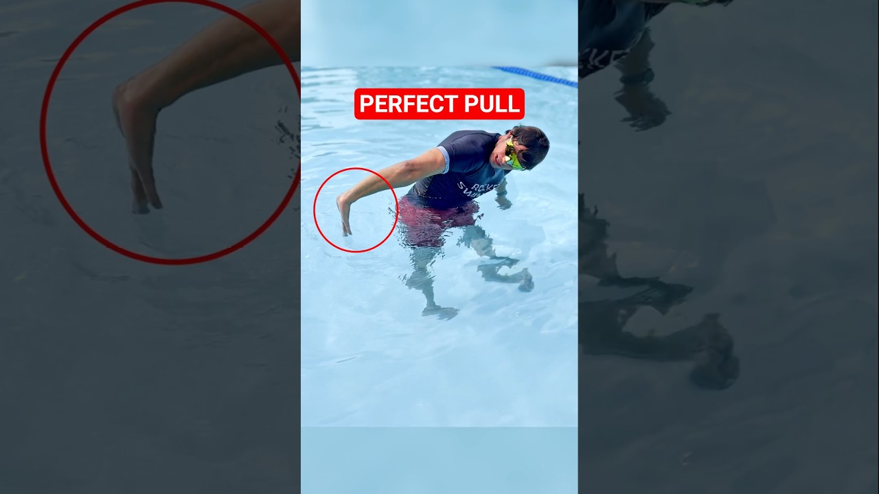 Improve Freestyle Pull Without Trying Harder #swimming #shorts #freestyleswim