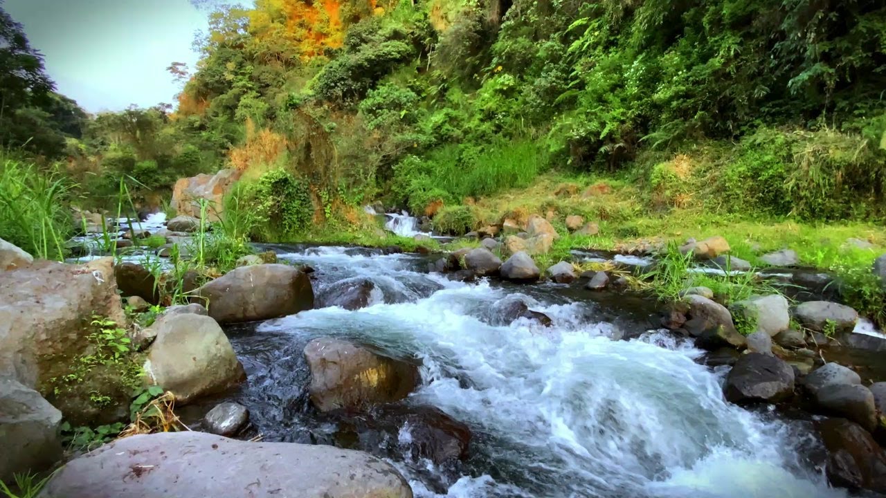 Gentle Water Sounds for Stress Reduction