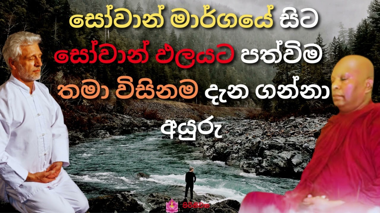 සෝවාන් මාර්ගයේ සිට සෝවාන් ඵලයට පත්විම  තමා විසිනම දැන ගන්නා අයුරු | Sowan maragaye sita palayata |