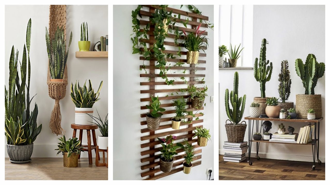 COMO DECORAR COM PLANTAS 🌱 Muitas Ideias lindas - Eduardo Wizard
