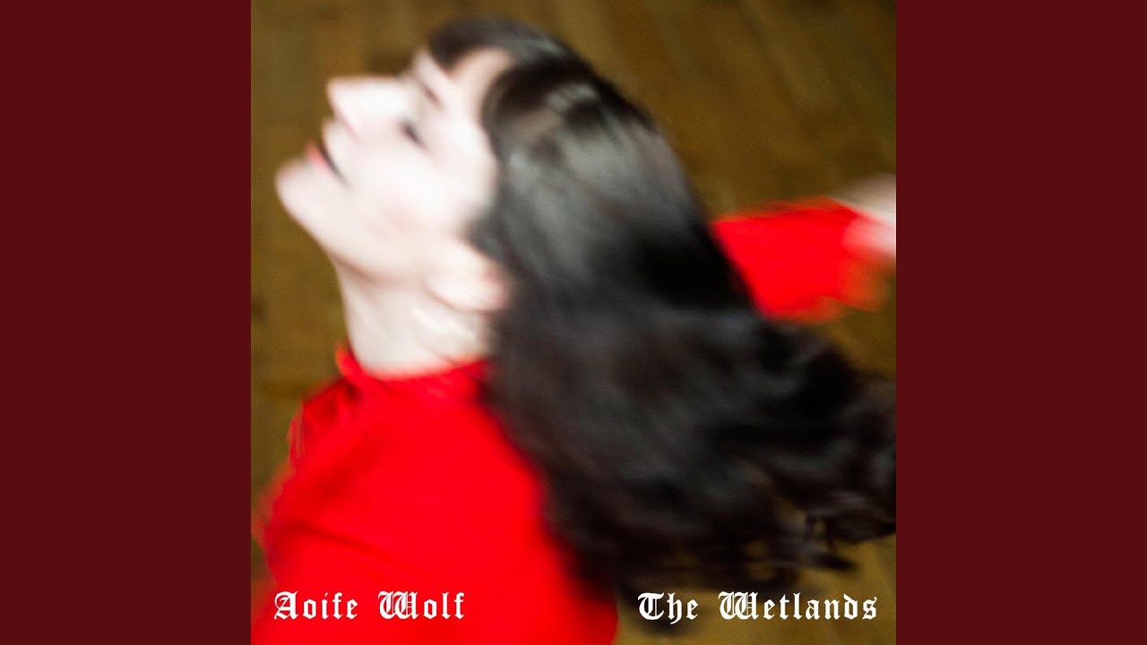 The Wetlands