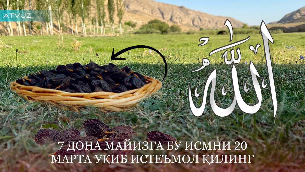 7 Дона қора майизга бу исмни 20 марта ӯқиб истеъмол қилинса…