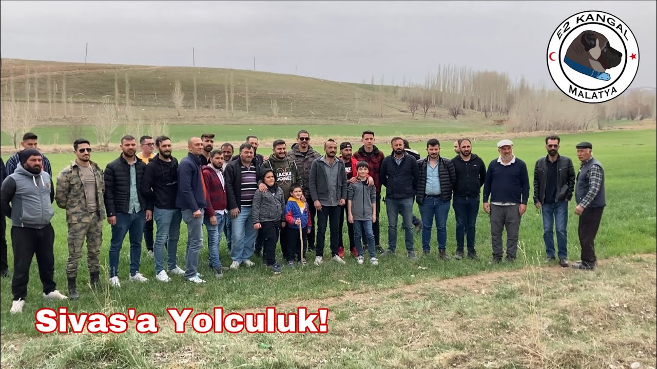 Sivas Kangal’a Yolculuk! | @Birol Başyiğit @BARIŞ ÇİÇEK PANTER  KANGAL