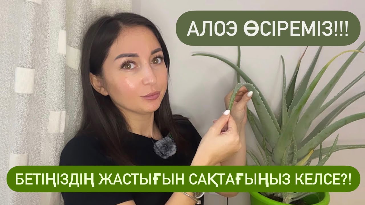 ӘЖІМ түспесін десеңіз, МЫНА ГҮЛДІ үйде өсіріңіз