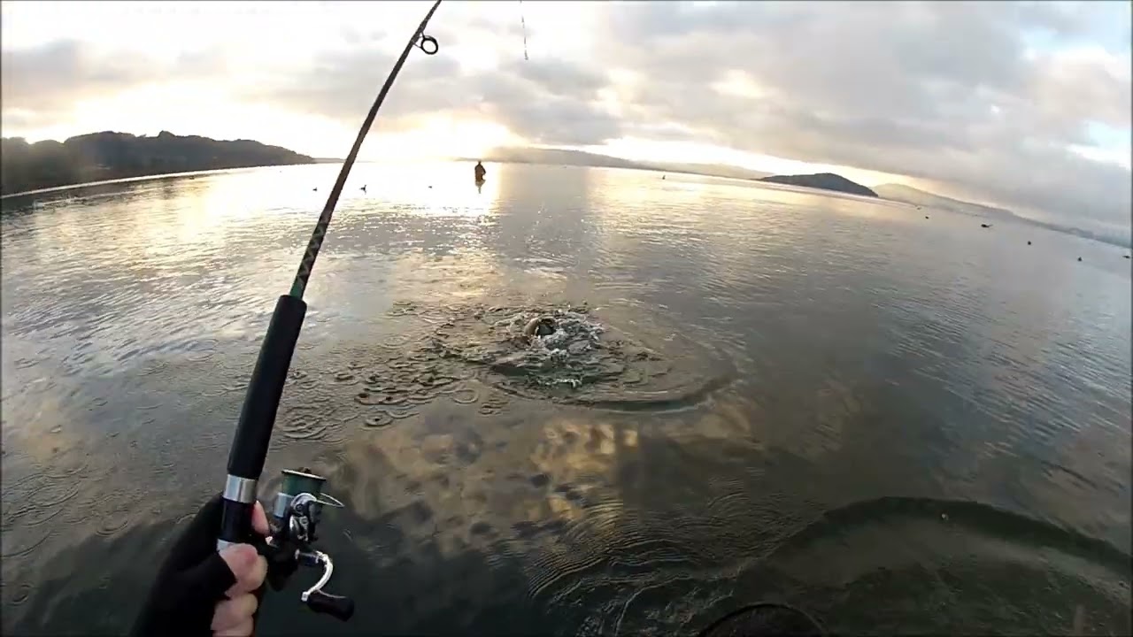 NEW ZEALAND TROUT FISHING THATS ALL THAT COUNTS