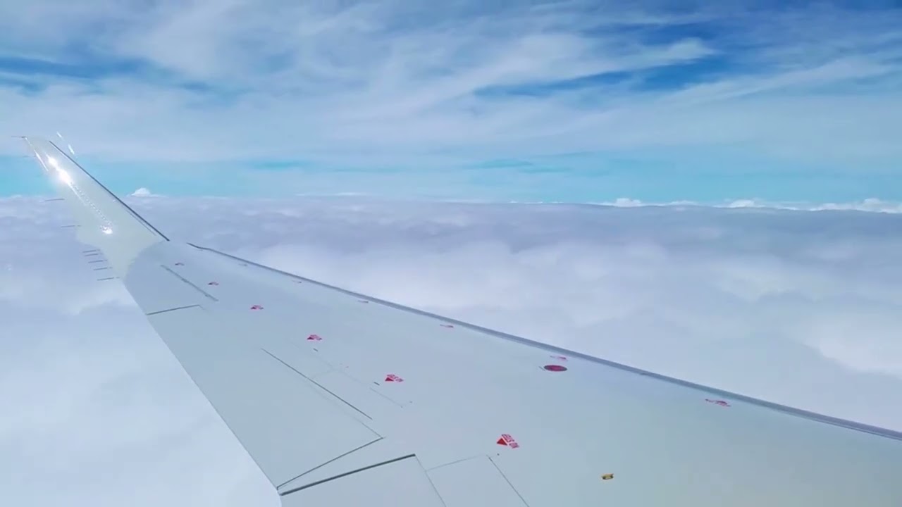 Airplane Cabin Ambience ✈️ 8 Hours of Relaxing White Noise (Sleep, Focus, Reading)