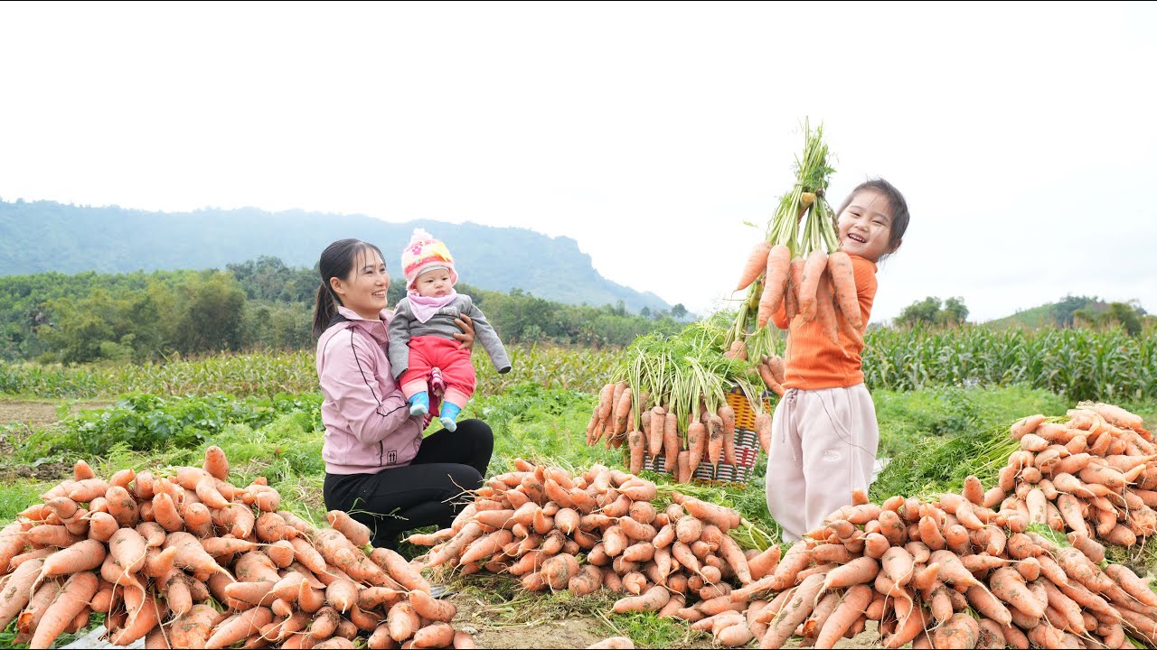 How to make delicious and easy carrot jam to sell at the market - Lý Thị Sa