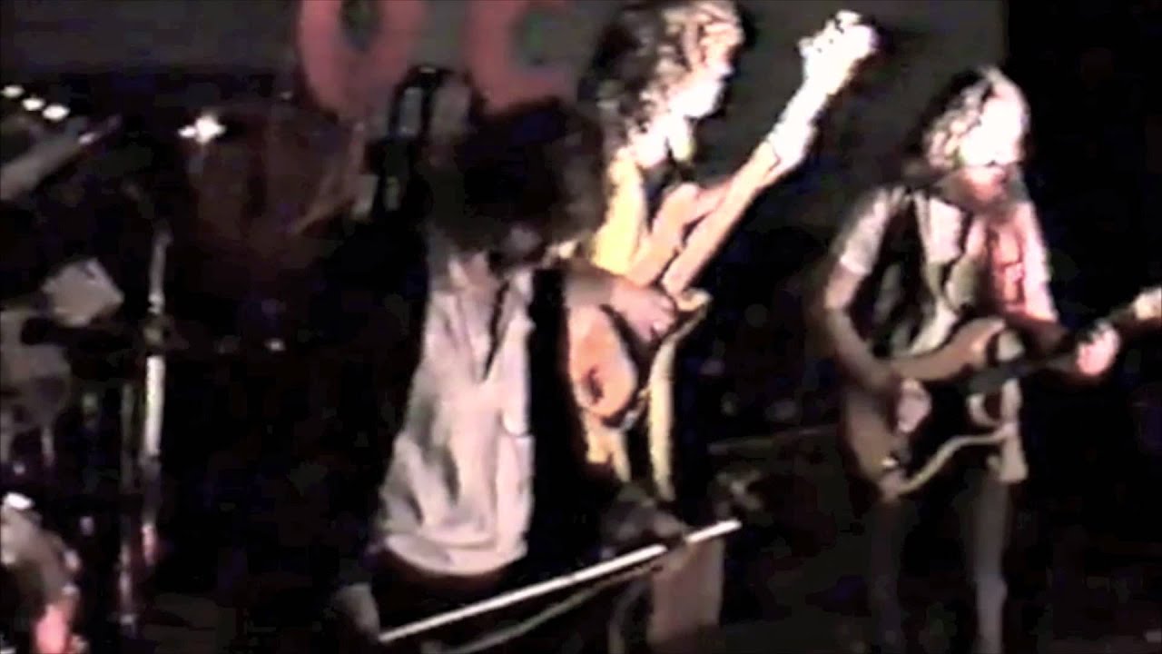 PRO MUSICA - Pasarea P (TimRock 1989)
