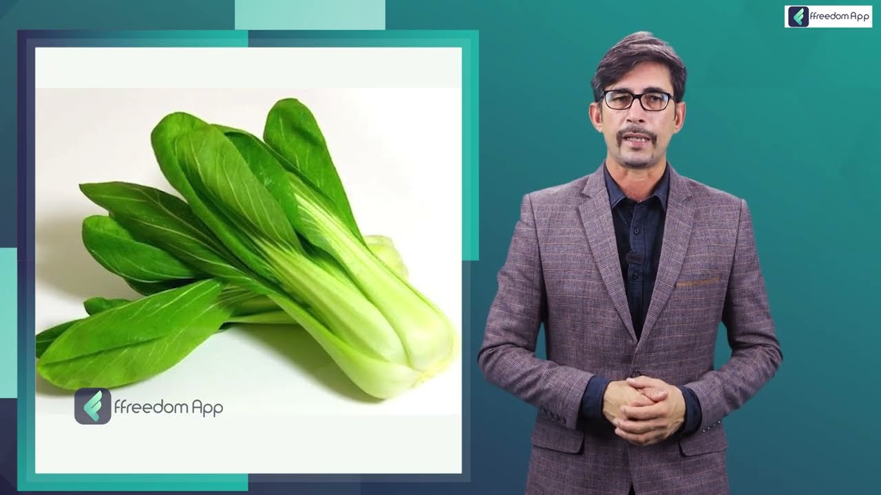 How to Farm Bok Choy? Complete Guide about Bok Choy Farming in Hindi | Pawan