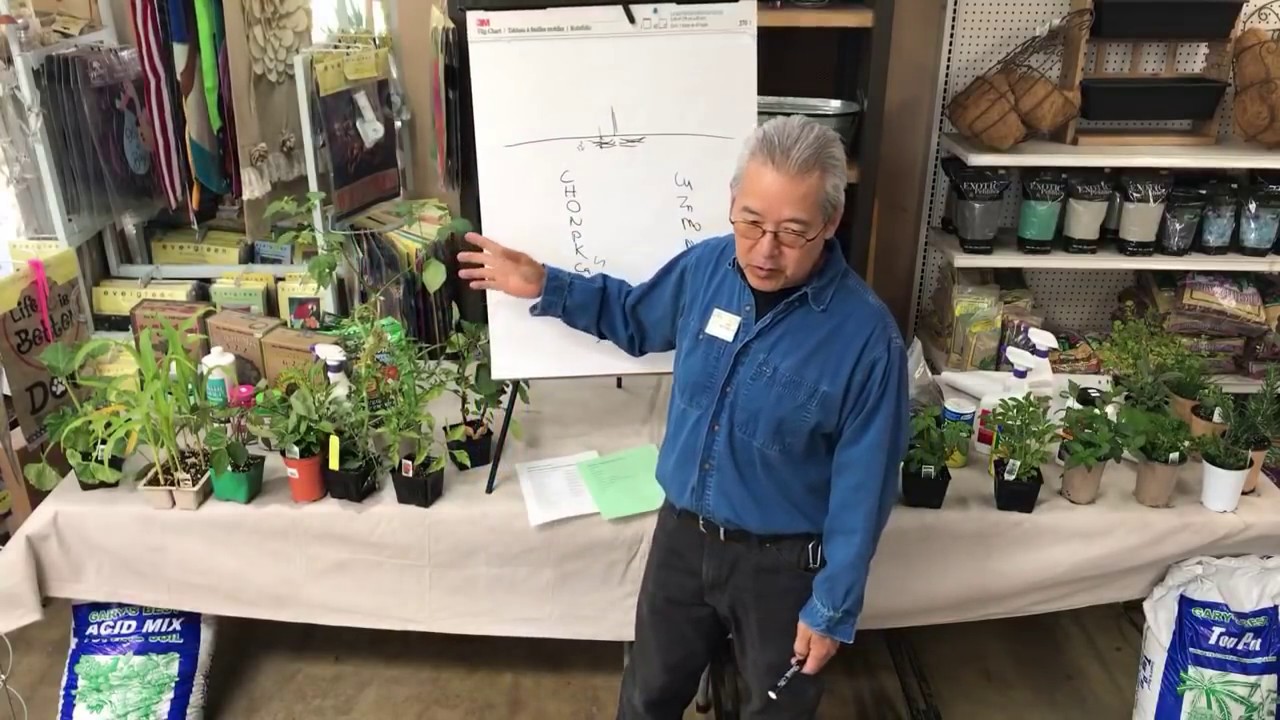 THE BASICS OF GROWING HERBS & VEGETABLES | LIVESTREAM