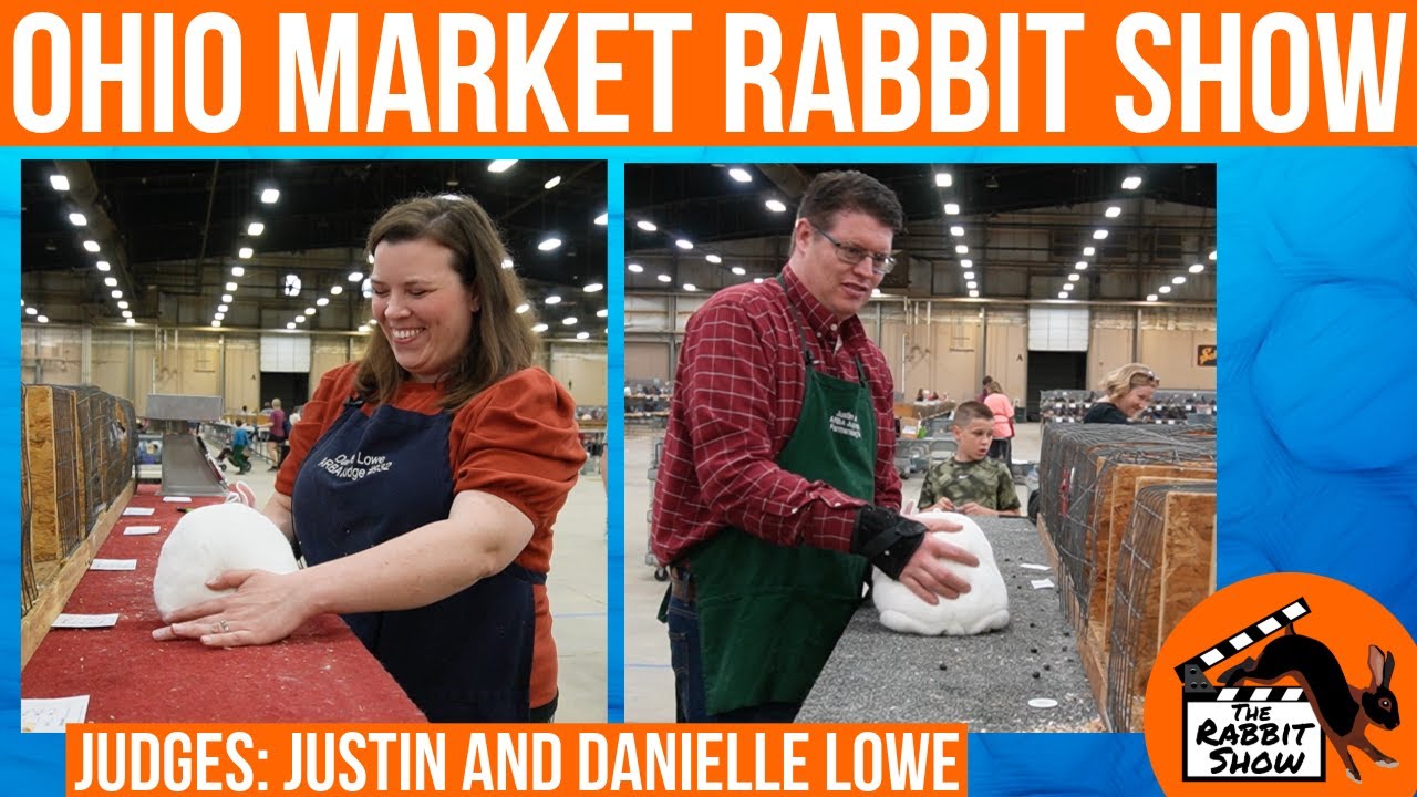 Ohio State Market Rabbit Producers Show @ Ohio MiniConvention Judges: Justin Lowe and Danielle Lowe