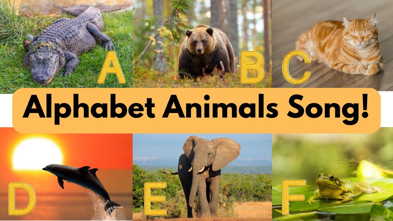 Alphabet Animals 🐾 Fun Kids Song to Learn ABCs and Animals!