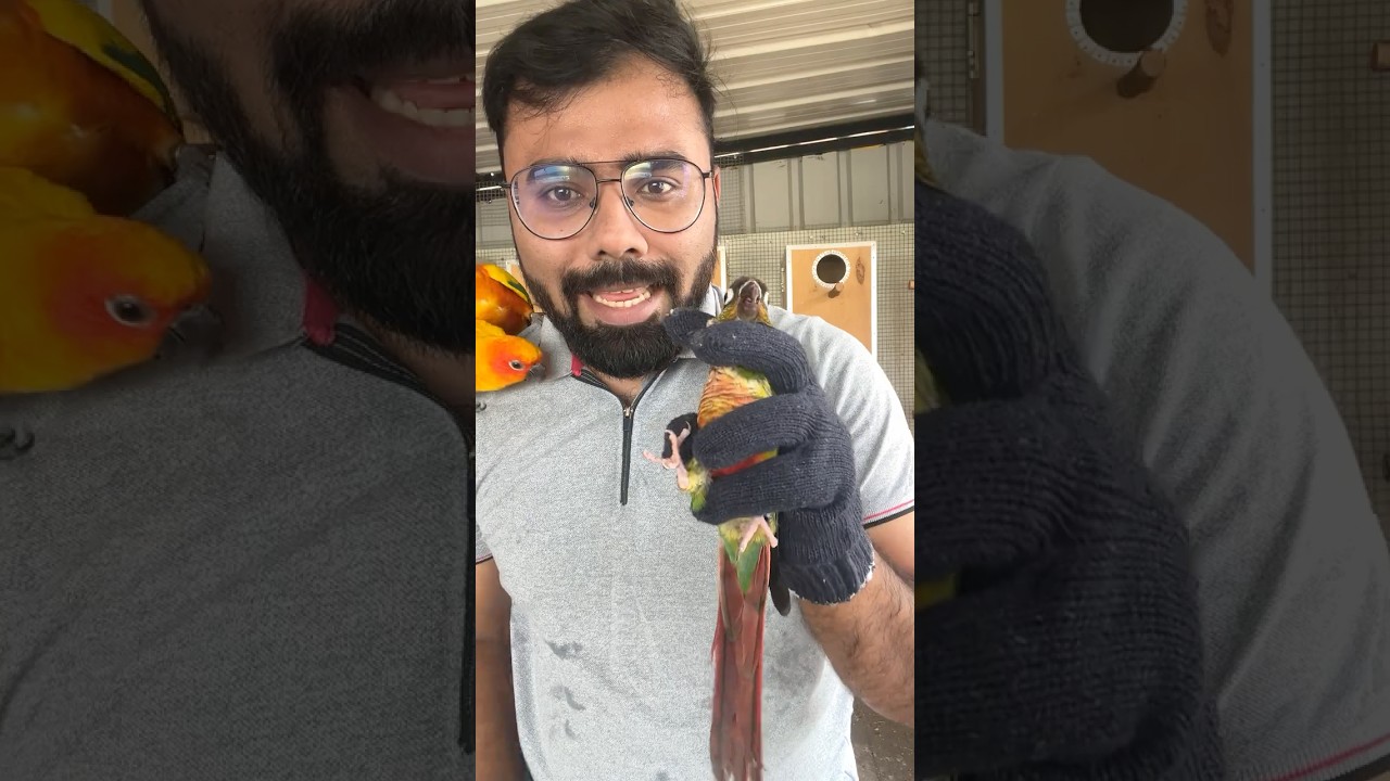 Confirm Pair nu Nenachom! ஆனா DNA Result Shock 🤯