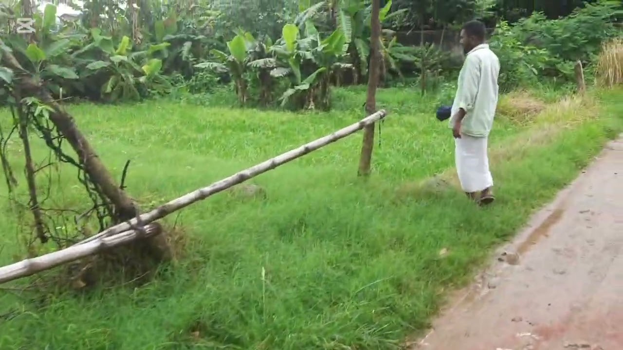 সাভার পৌরসভার ৯নং ওয়ার্ডে গেন্ডা মৌজায় ৩শতাংশের  ৪পর্চার জমি কম দামে বিক্রি হবে।  মোবা:01715792506