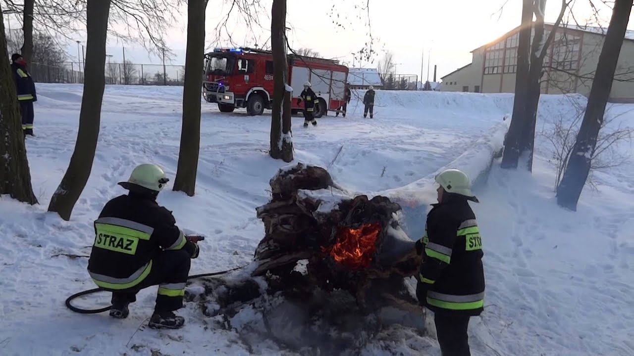 Gaszenie pożaru drzewa OSP w Suszu