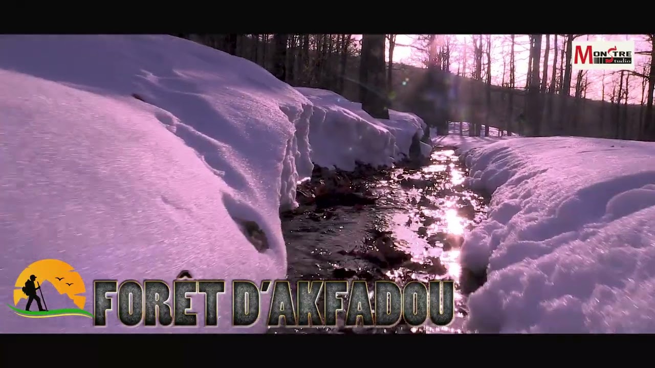 forêt d'Akfadou bientôt le reportage complet