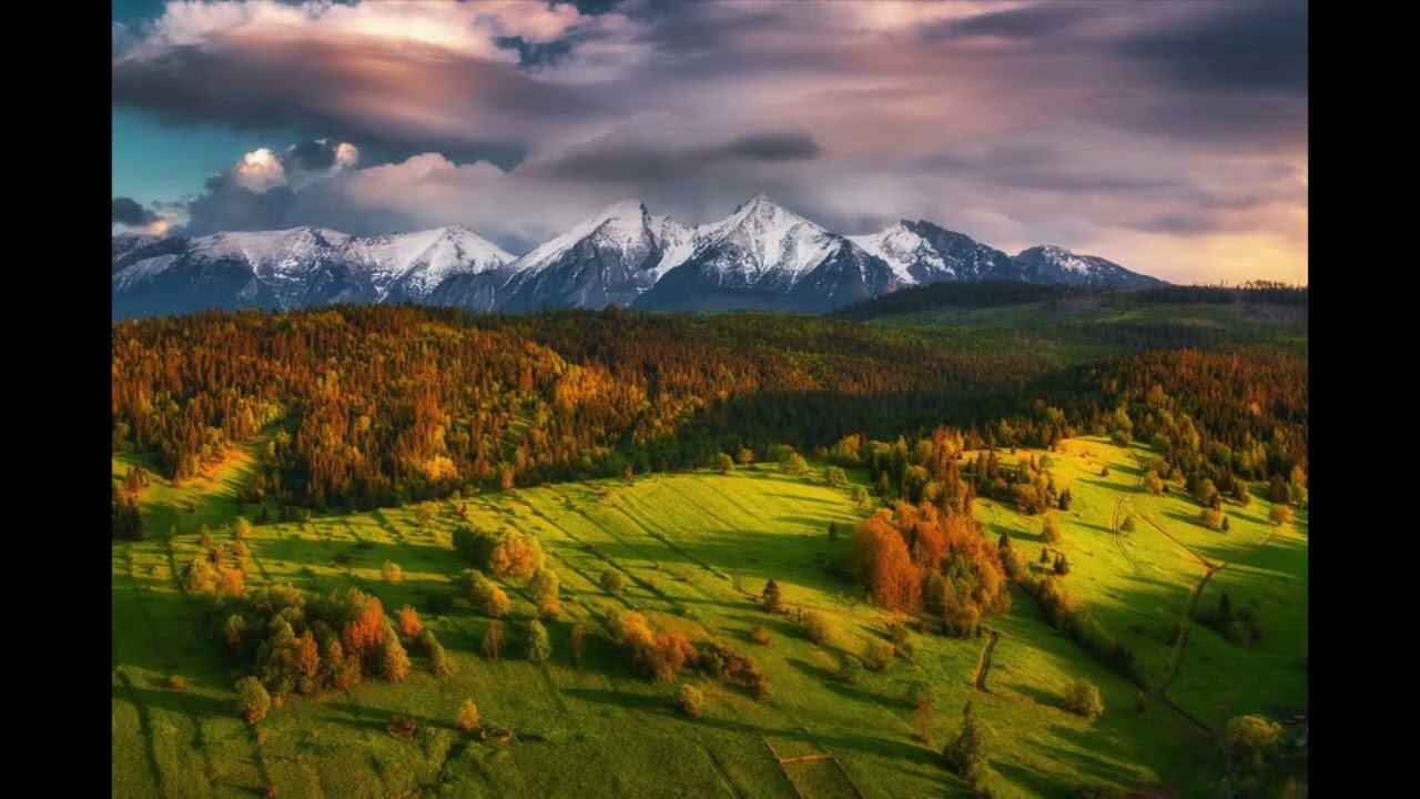 Zahučali hory, zahučali lesy