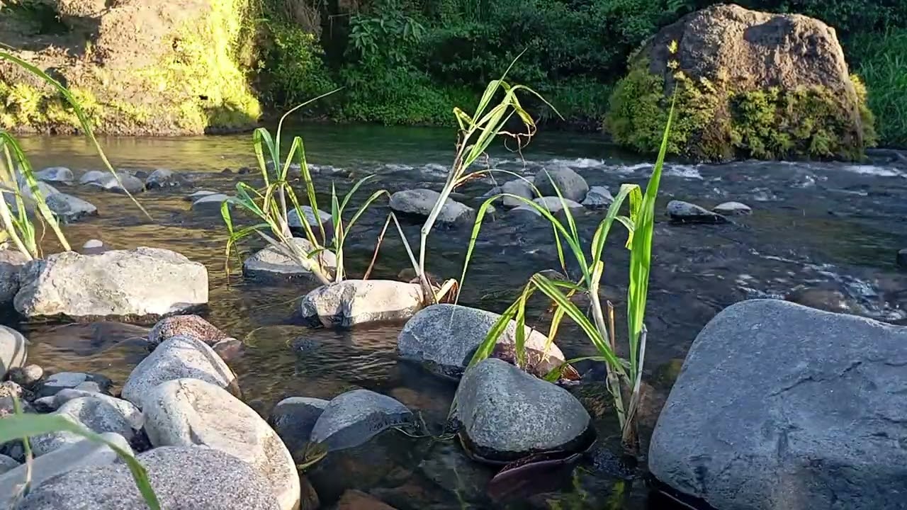 Ultimate River White Noise 4K – Strong Natural Water Sounds for Sleeping Fast