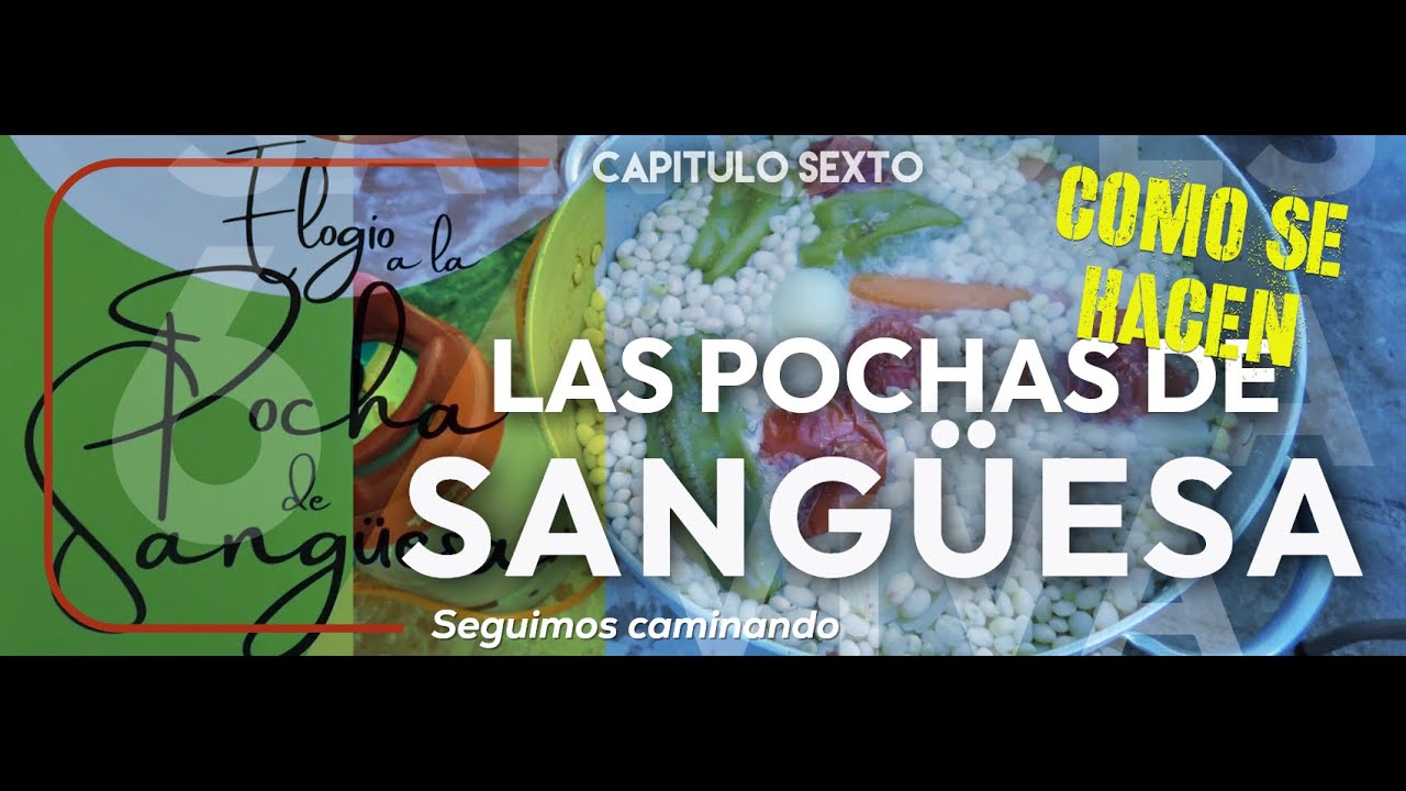 Celebrando la Pocha de Sangüesa! 🍲 Receta Tradicional y Fiesta Local